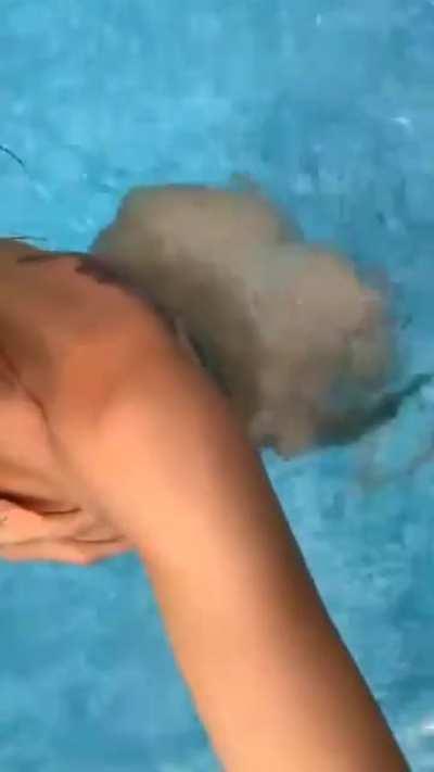 IG Live on the pool part 1