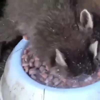 When eating is more important than breathing 😂