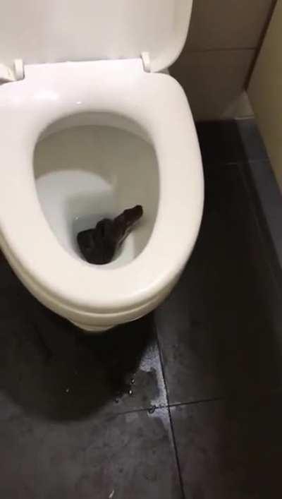 and it disappears like it was never there