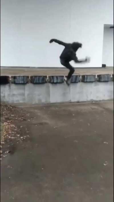 That dude jumped like crack in the '80s.