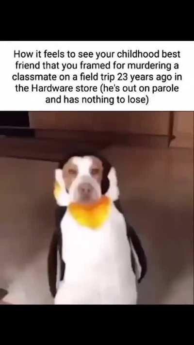 Day 101 of shitposting