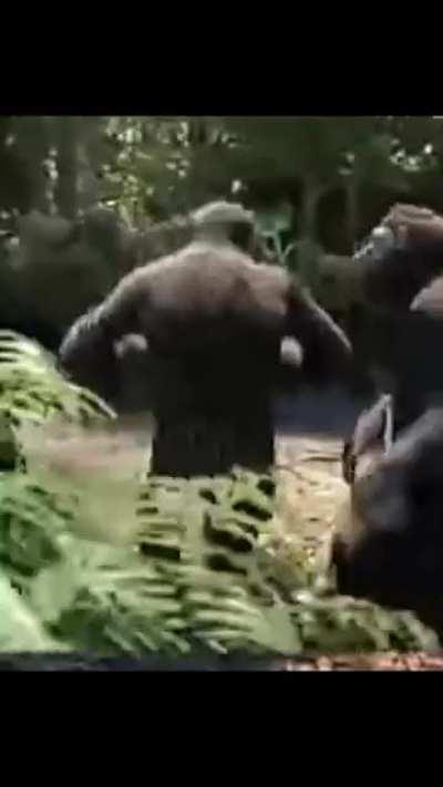 mejico wei 😹😹😹😹😹