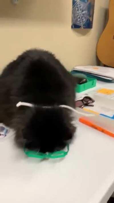 Optometrist assistant