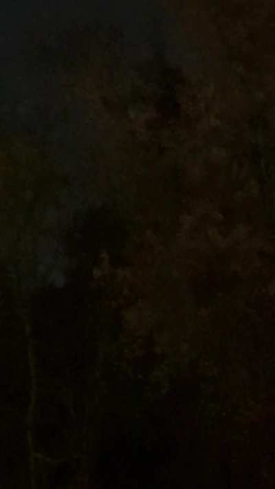 Is the lighting normal?