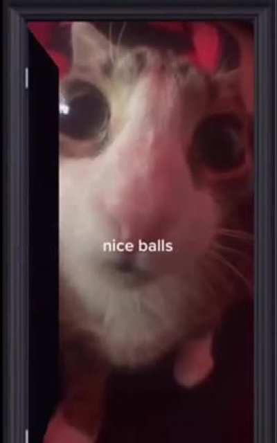 Nice balls