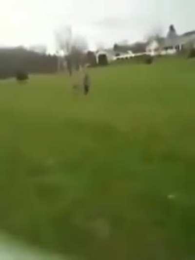 They were having a lovely little hike and then...