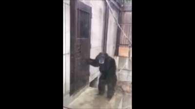 Open the damn casino already