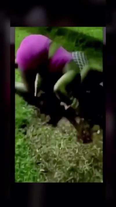 Bringing the term “Pop a Tiddy” to a new meaning