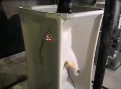 Ne değişik fanteziler varmış…