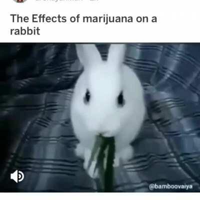 Watch till the end!! 🤯🤪🤩🤗