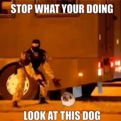 STOP WHAT YOUR DOING