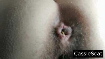 Executrix Ends you with Her Ass (Toilet Slave POV) [GIF]