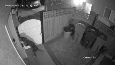 Let me out. My people need me.