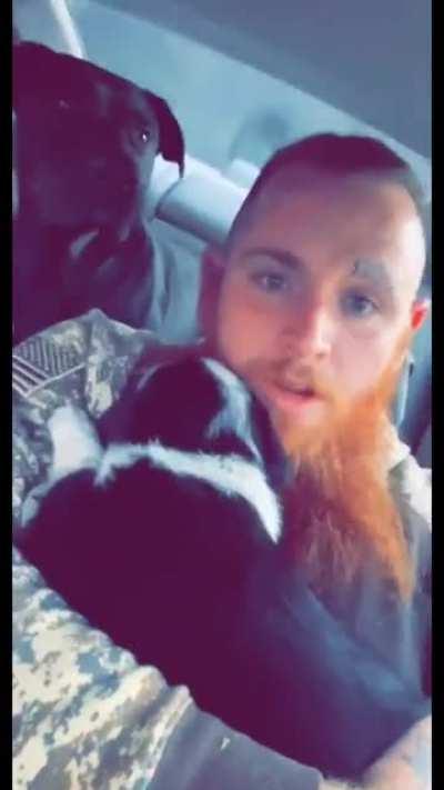 Man potentially stages Puppy abandoned by side of the road for a TikTok viral video