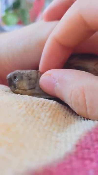 Neck massages are the best massages