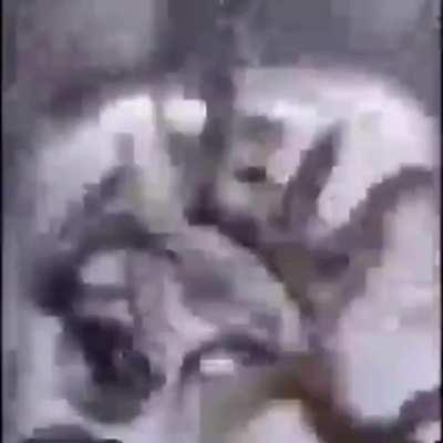 rise and shine mr eelman