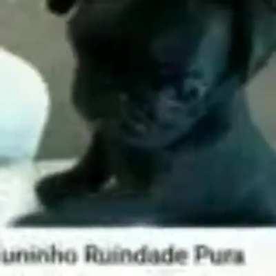 Luangameplay666 - Video #4355