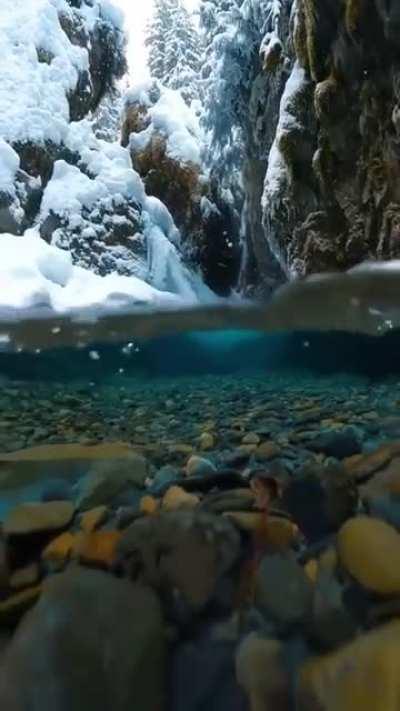 Snowflakes falling into crystal clear water