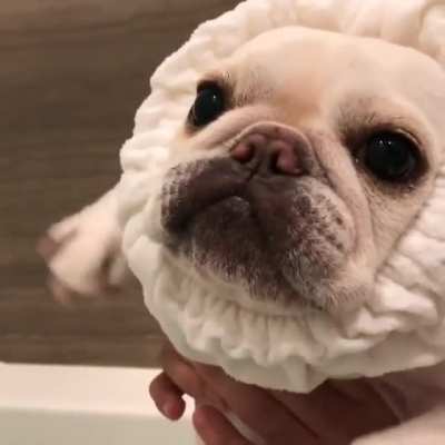 Don't mind me, I'm just swimming here