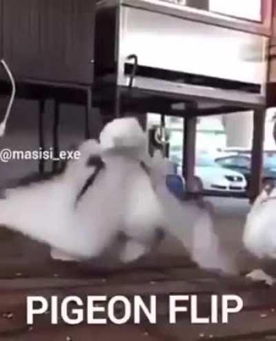 Rotation matrix calculation and calibration under close monitoring by another drone