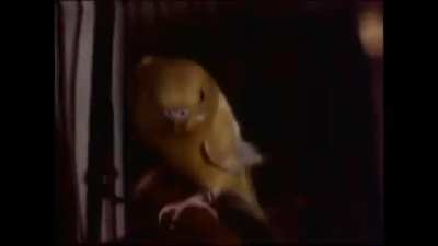 Saw this last night on Netflix, From 1977 a pretty awesome and great cast of many up and comers the time like Beverly D Angelo, Jeff Goldblum and Christopher Walken. Great horror movie mystery.