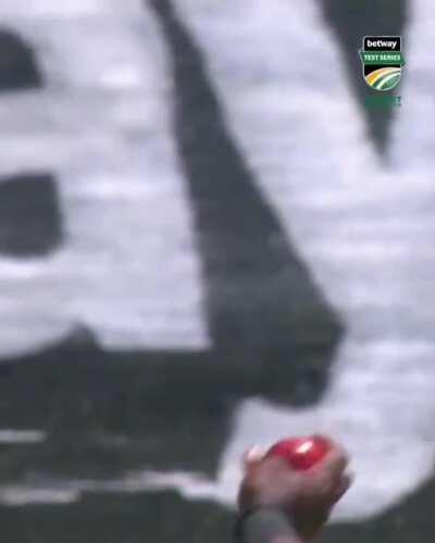 Sipamla cleaning up the tail...