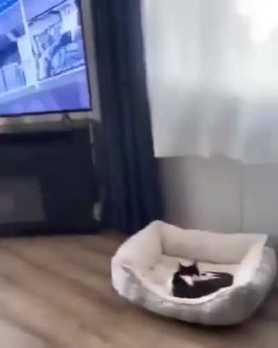 They switched places