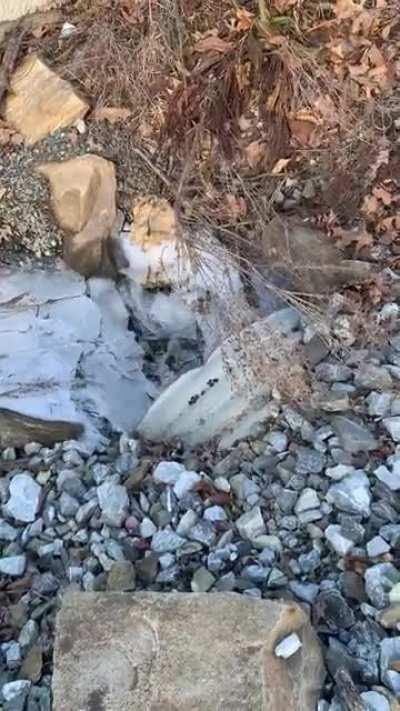 Ohh yeah it's that time of year