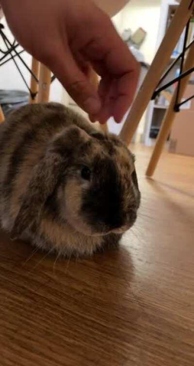 Guess who’s finally 7 months old?