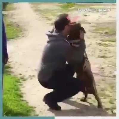 Nothing beats a pet reunion