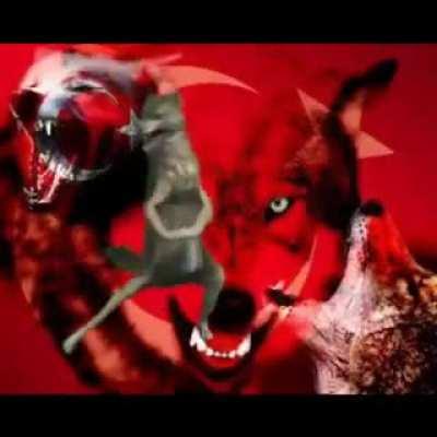 kim kardashian ın gönderisinin altına türk bayrağı atarsın :