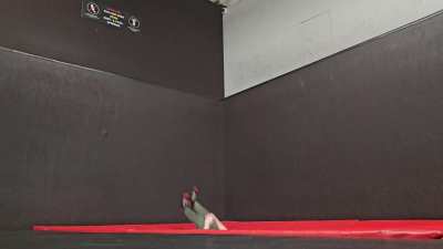 Trampwall 270 to Trampwall?