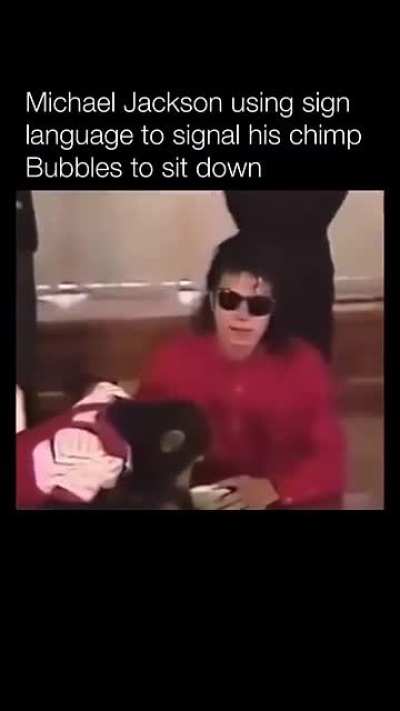 Michael Jackson using sign language to tell his chimp to sit down