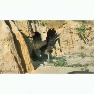 Don't you talk to me or my sons ever again!