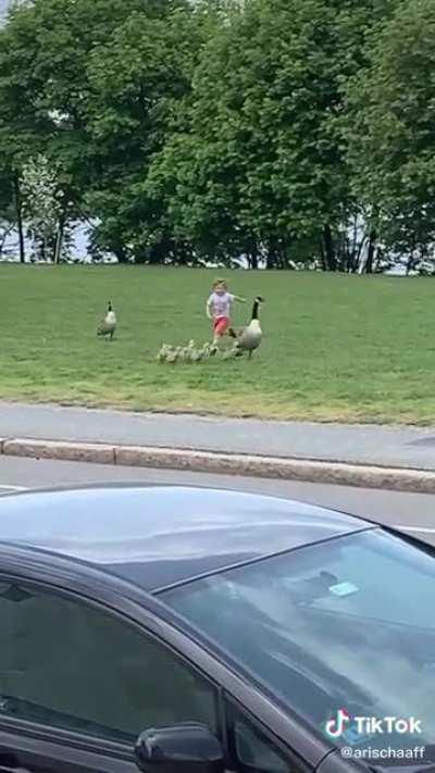 Completely justified goose defense