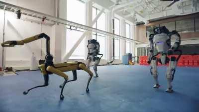 They are coming for us?