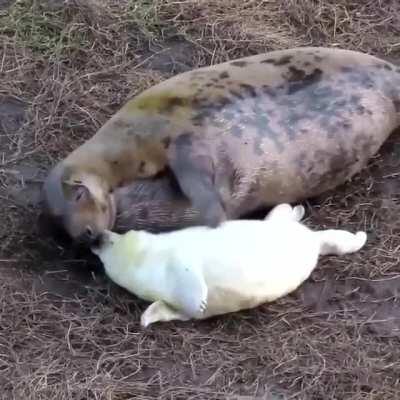 Kiddo too excited to sleep