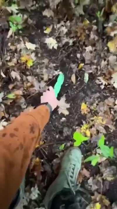 Похоже такие видео снимают только ради него.