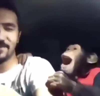 Me when I finally buy my monkey: