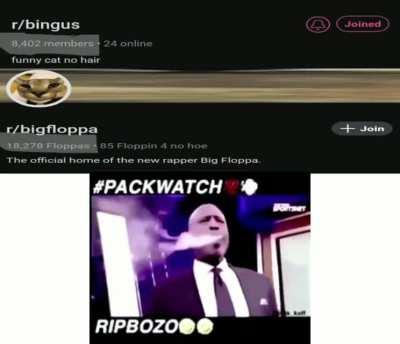 I Assure you I already joined the r/bigfloppa reddit by now (outdated screenshot)