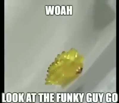 I'm 15 and this is yeet