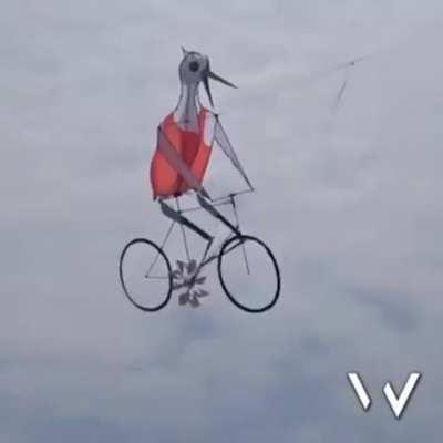 Bicycle Kite!