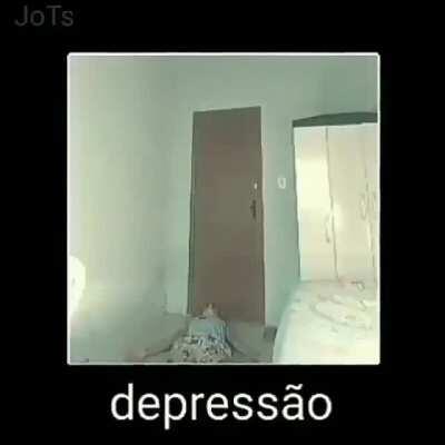Eu toda noite