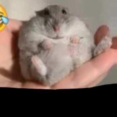 hapmetrempathamereptahapamatabrrer