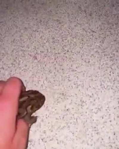 Where do I get someone to carry me from meal to meal?