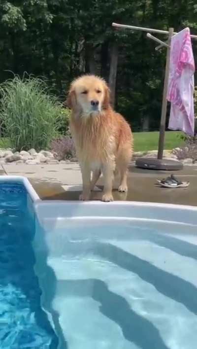 Why would you do that stupid HOOMAN