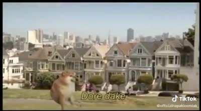 This is a question I will ask till the end of time.