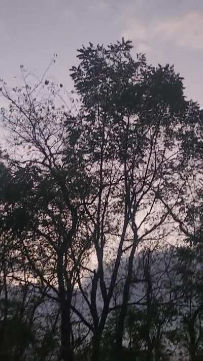 This just happened lmao