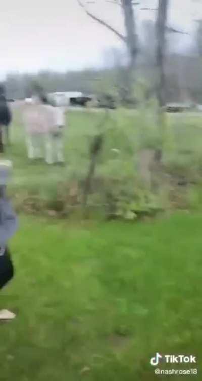 Donkeys laughing their asses off at dog getting shocked by electric fence