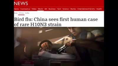 The very few remaining of the collective human race